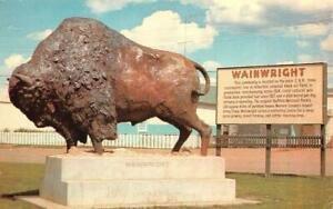 Wainwright’s Buffalo Legacy