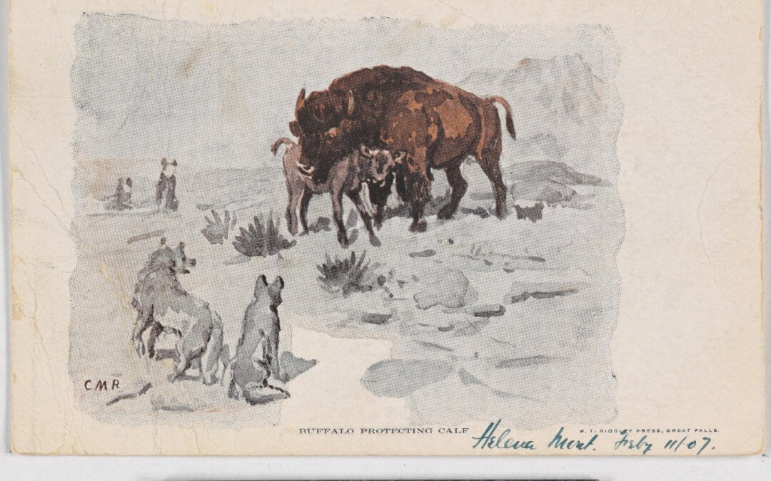 Why not celebrate this year’s National Buffalo Day by telling a favorite buffalo story?