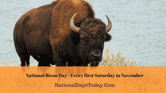 Join Us in Celebrating National Bison Day!